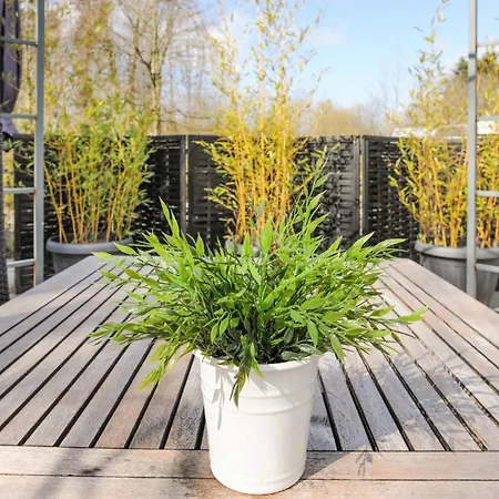 度假居 3 Bedroom Amazing In Toftlund